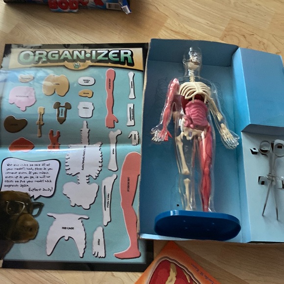 Youth science toy - Squishy Human Body 8+ - Picture 5 of 12